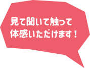 見て聞いて触って体感いただけます！